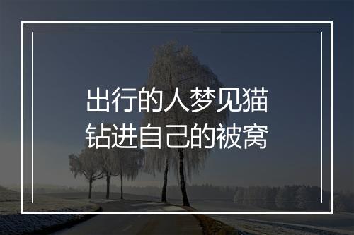 出行的人梦见猫钻进自己的被窝