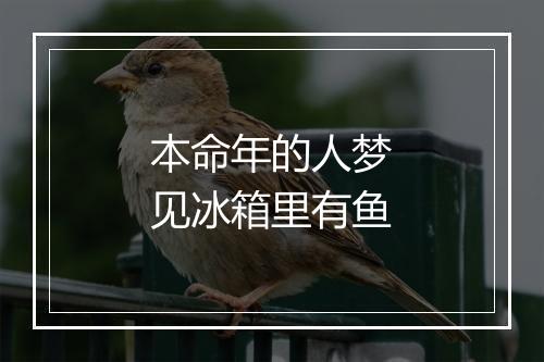 本命年的人梦见冰箱里有鱼