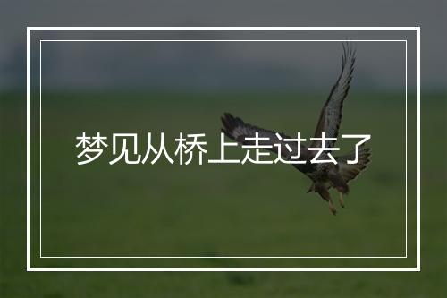 梦见从桥上走过去了