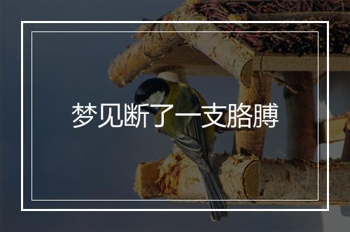 梦见断了一支胳膊