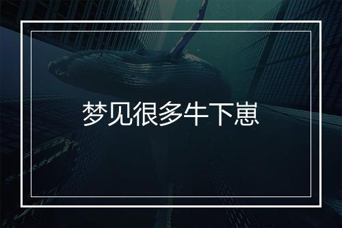 梦见很多牛下崽