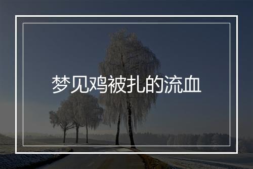 梦见鸡被扎的流血