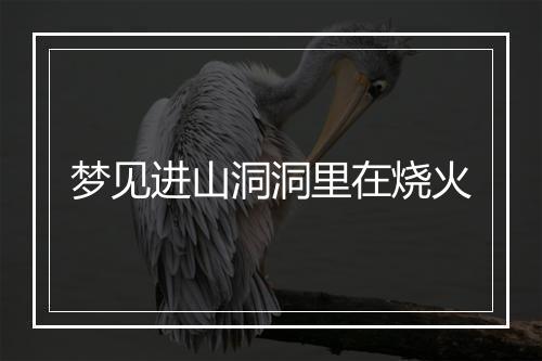 梦见进山洞洞里在烧火