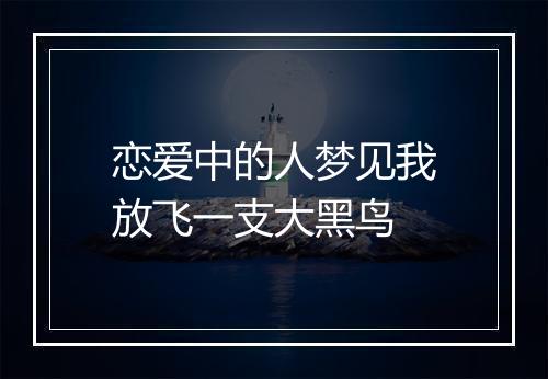 恋爱中的人梦见我放飞一支大黑鸟