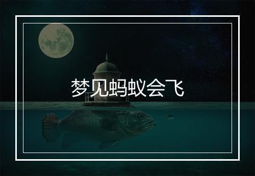 梦见蚂蚁会飞