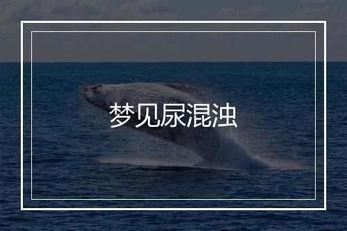 梦见尿混浊