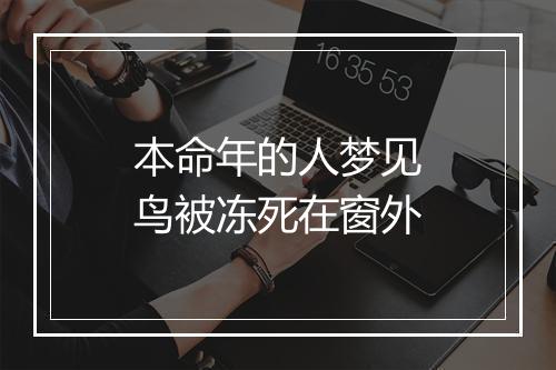 本命年的人梦见鸟被冻死在窗外