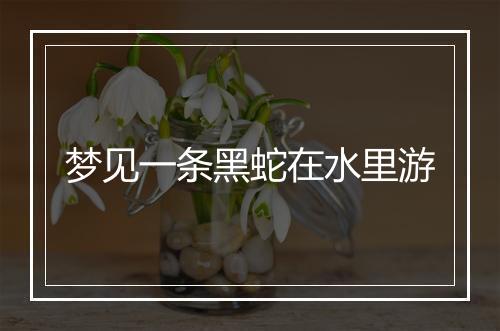 梦见一条黑蛇在水里游