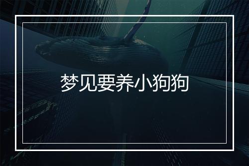 梦见要养小狗狗