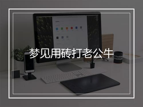 梦见用砖打老公牛