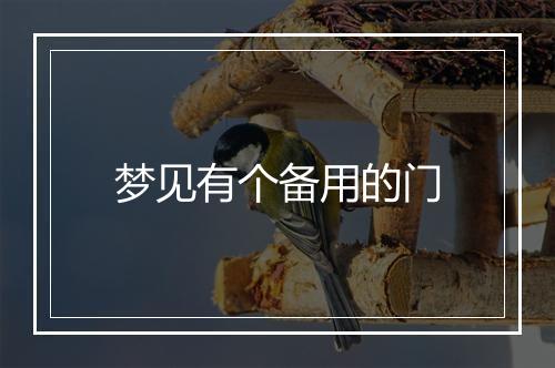 梦见有个备用的门