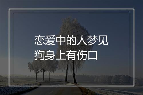 恋爱中的人梦见狗身上有伤口