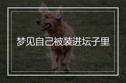 梦见自己被装进坛子里