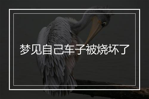 梦见自己车子被烧坏了