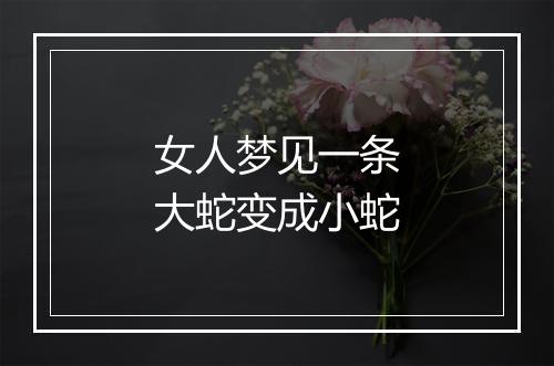 女人梦见一条大蛇变成小蛇