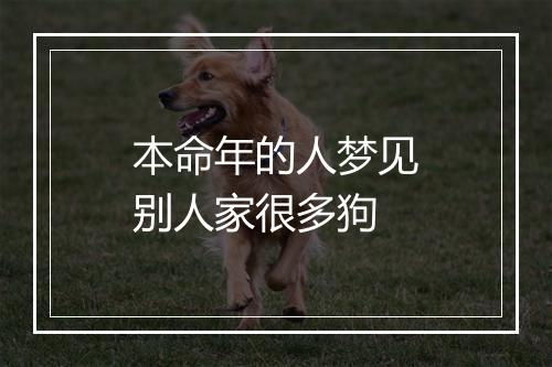 本命年的人梦见别人家很多狗