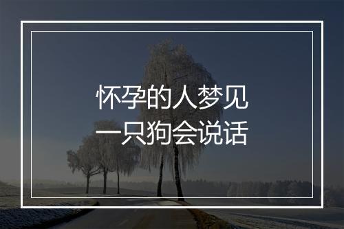 怀孕的人梦见一只狗会说话