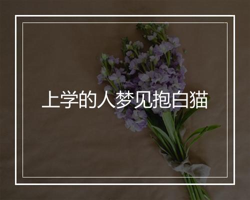 上学的人梦见抱白猫