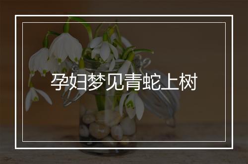 孕妇梦见青蛇上树