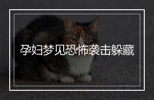 孕妇梦见恐怖袭击躲藏