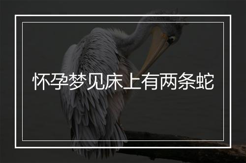 怀孕梦见床上有两条蛇