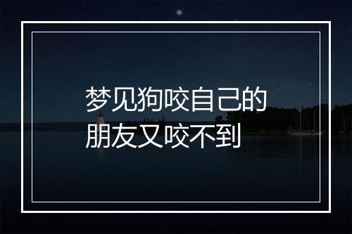 梦见狗咬自己的朋友又咬不到