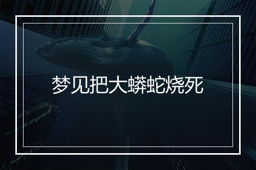 梦见把大蟒蛇烧死