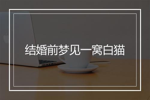 结婚前梦见一窝白猫