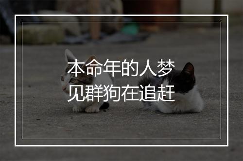 本命年的人梦见群狗在追赶