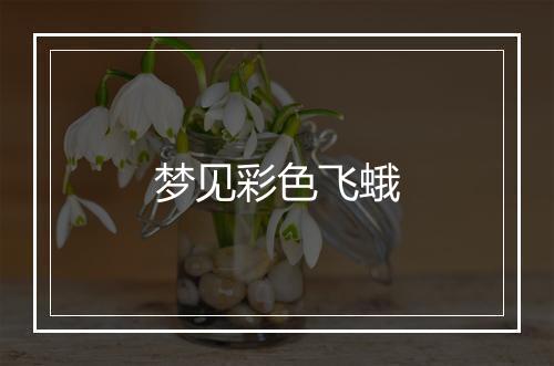 梦见彩色飞蛾