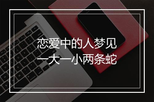 恋爱中的人梦见一大一小两条蛇