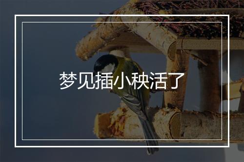 梦见插小秧活了