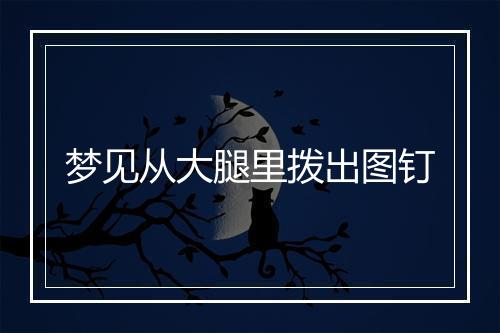 梦见从大腿里拨出图钉