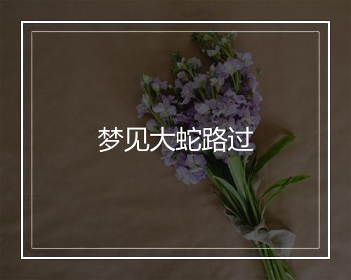 梦见大蛇路过