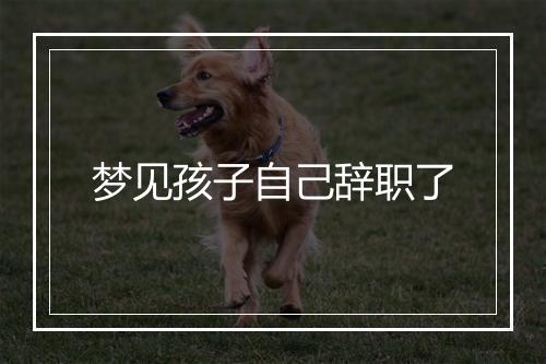 梦见孩子自己辞职了