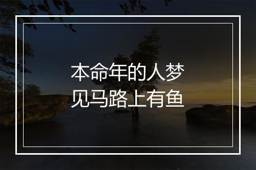 本命年的人梦见马路上有鱼