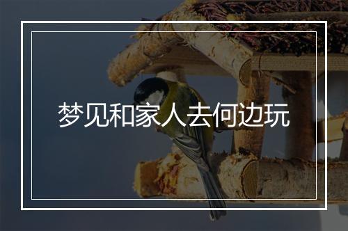 梦见和家人去何边玩