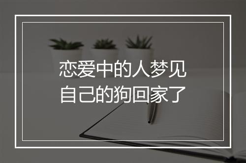 恋爱中的人梦见自己的狗回家了