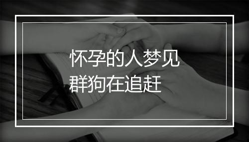 怀孕的人梦见群狗在追赶