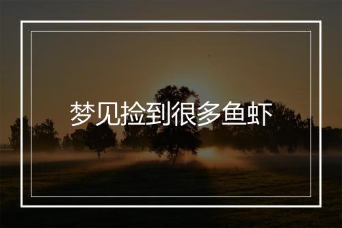 梦见捡到很多鱼虾