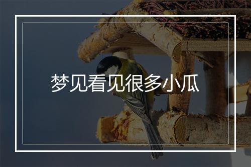 梦见看见很多小瓜