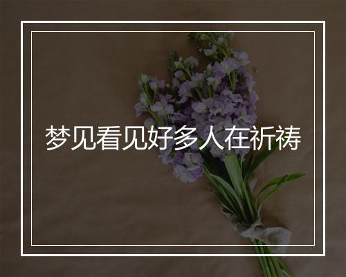 梦见看见好多人在祈祷