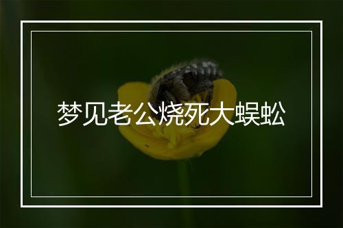 梦见老公烧死大蜈蚣