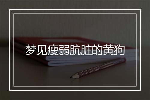 梦见瘦弱肮脏的黄狗