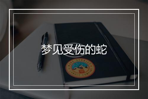 梦见受伤的蛇