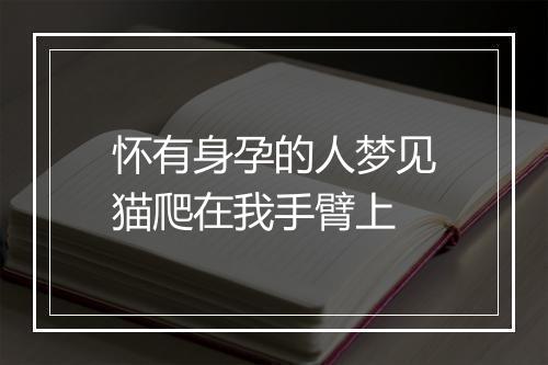 怀有身孕的人梦见猫爬在我手臂上