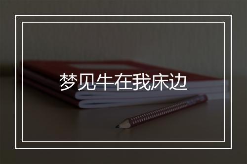 梦见牛在我床边