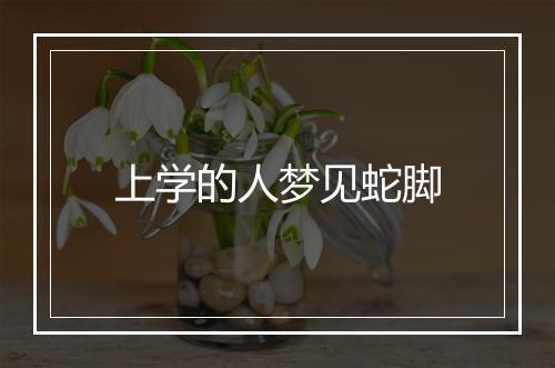 上学的人梦见蛇脚