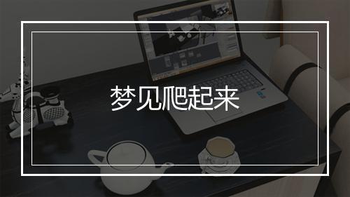 梦见爬起来