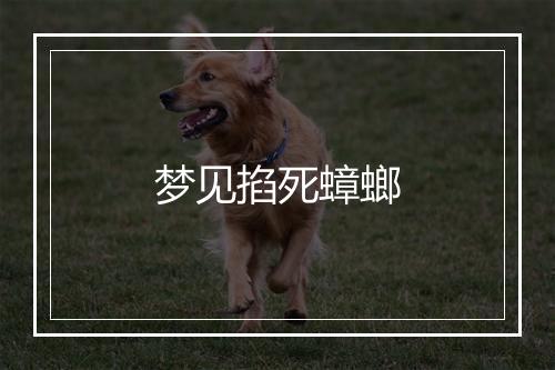 梦见掐死蟑螂